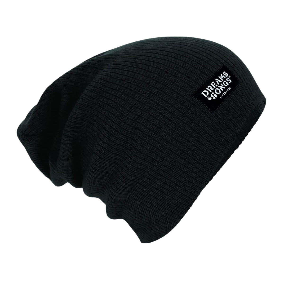 Dreams & Songs Slouch Beanie