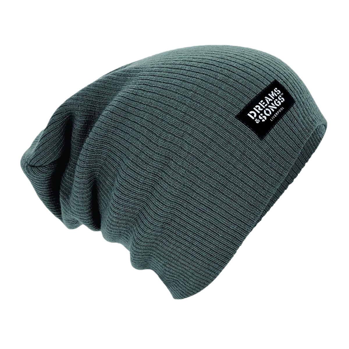 Dreams & Songs Slouch Beanie